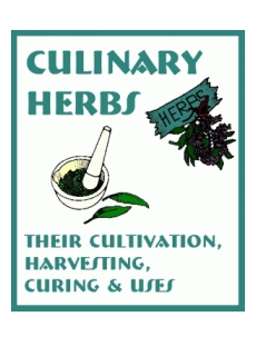Culinary Herbs - Click Image to Close