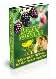 Organic Gardening - Click Image to Close