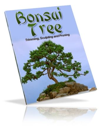 Bonsai Trees: Growing, Trimming, Sculpting & Pruning (PLR) - Click Image to Close