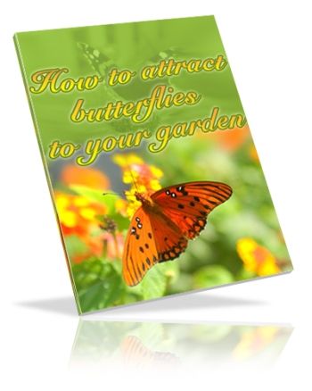 How to Attract Butterflies to Your Garden (PLR) - Click Image to Close
